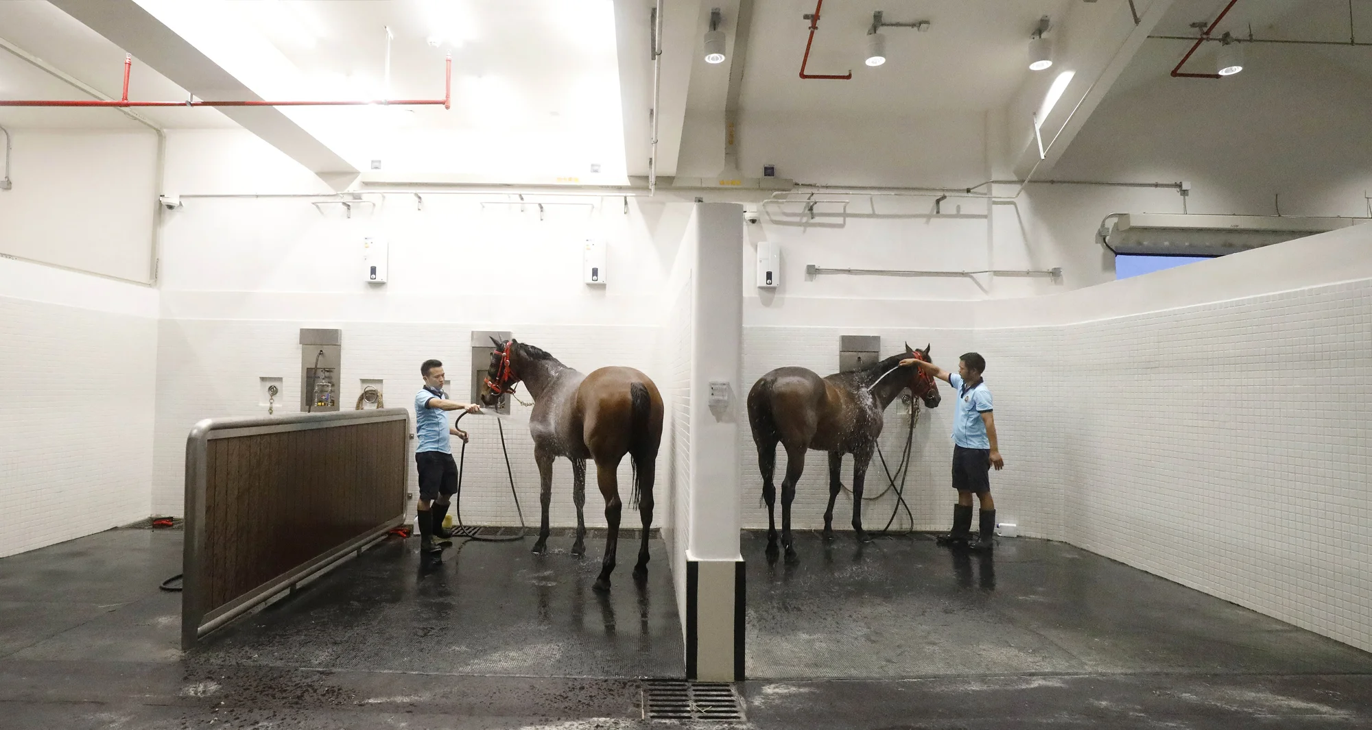 Wash-down facilities.