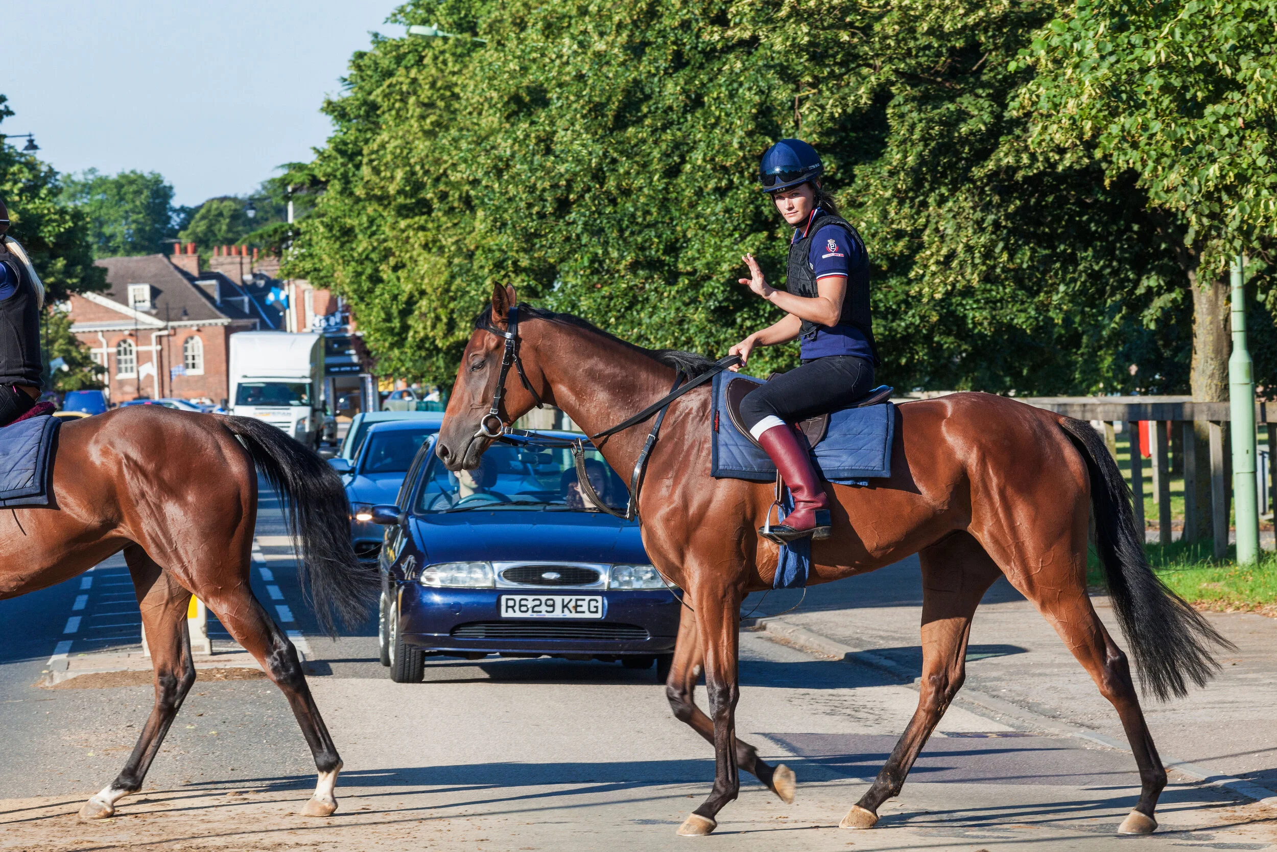 What Is Equine Welfare Asks Johnston Racing s Vet Neil Mechie Trainer Magazine European 