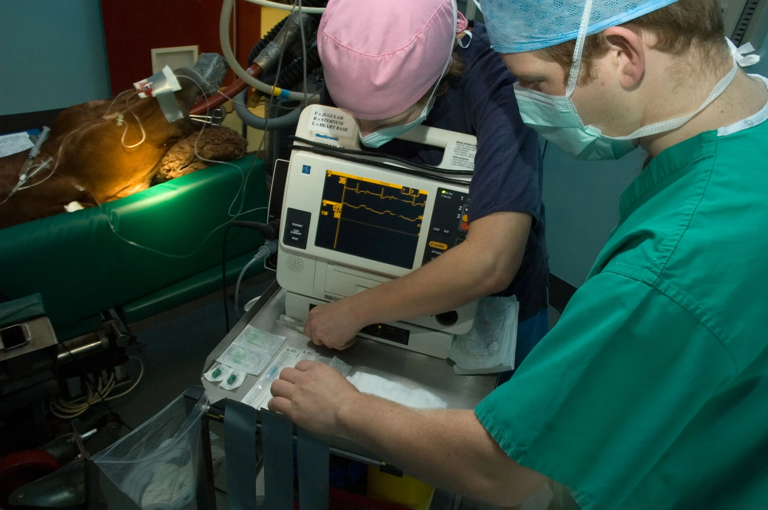 Colic effects of inflammation Trainer Magazine North American