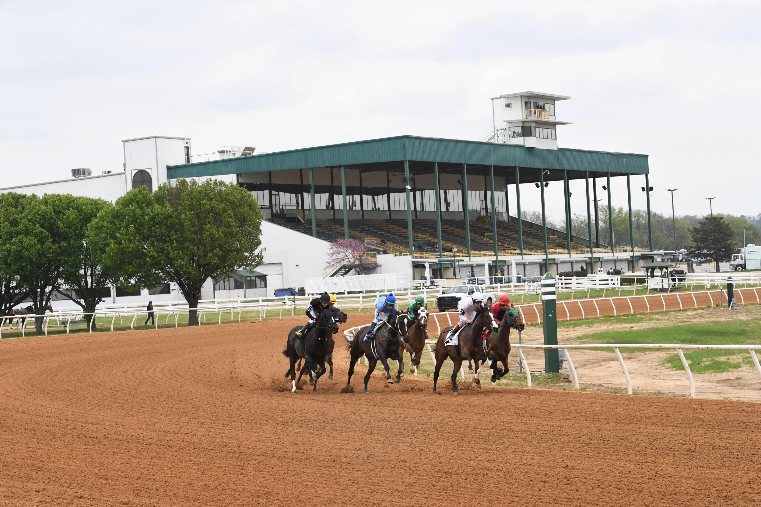 Last five standing - What measures have the five Thoroughbred-only ...