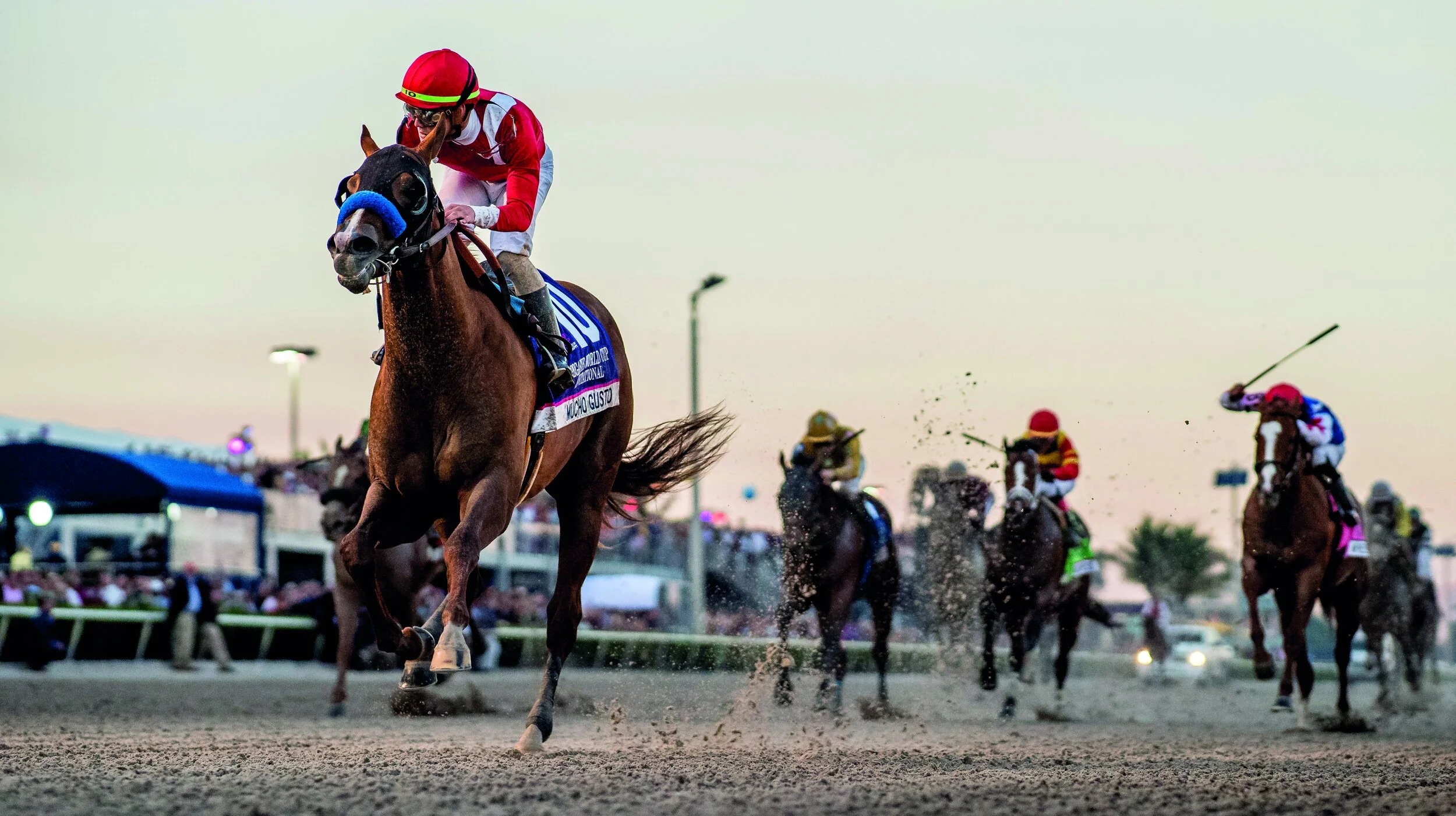 Life after Lasix Trainer Magazine North American Article Index