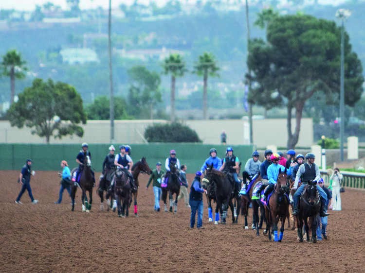  DEL MAR, CA - NOVEMBER 02: Horses come on to track to exercise at Del Mar Thoroughbred Club on November 2, 2017 in Del Mar, California. (Photo by Sue Kawczynski/Eclipse Sportswire/Breeders Cup) 