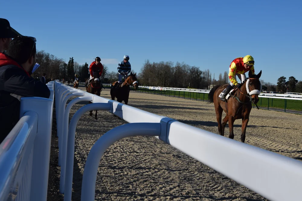 Eut71 European Trainer Article Index Trainer Magazine