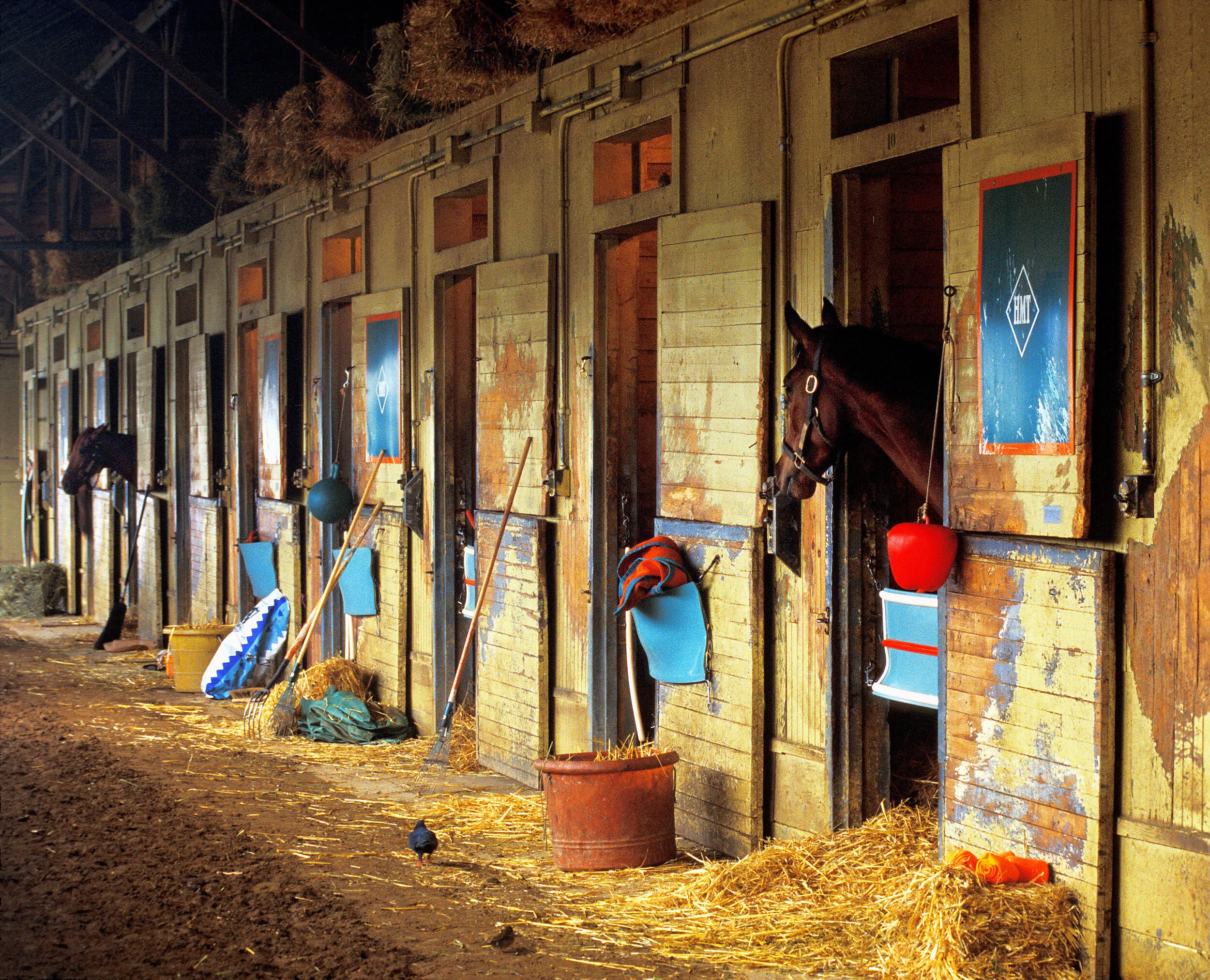Managing Stable Vices - Are they vices or a product of their ...