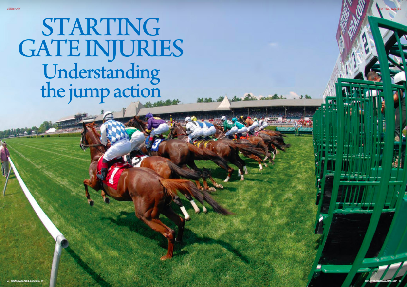 Starting Gate Injuries Understanding The Jump Action Trainer Magazine North American Article Index