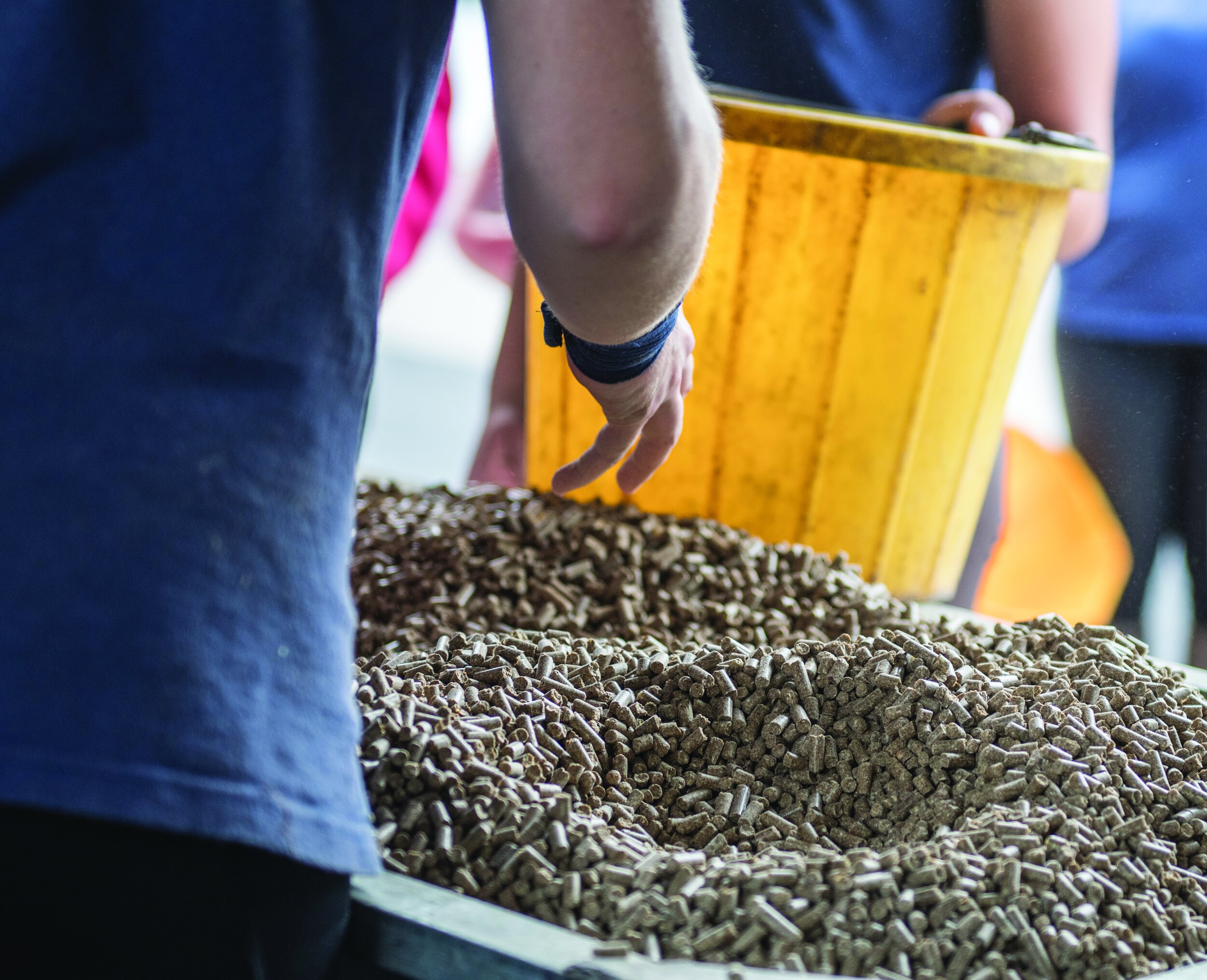 Nutrition Analysis - Understanding equine feed labelling | Trainer ...