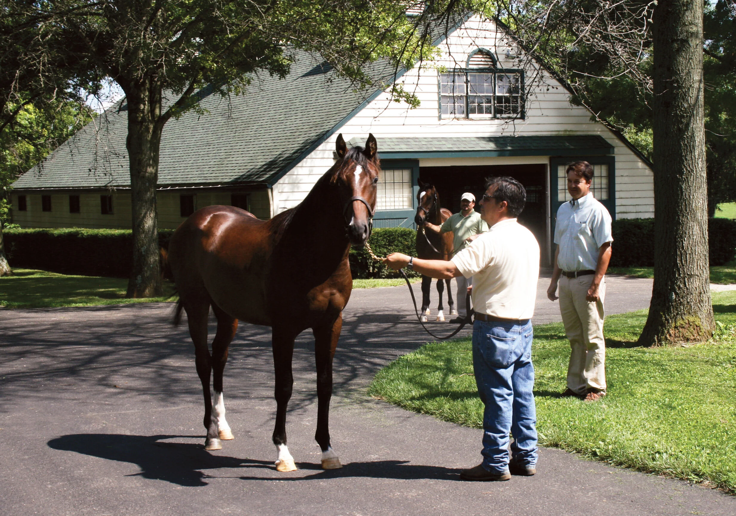 Feeding from the sales ring to racecourse 