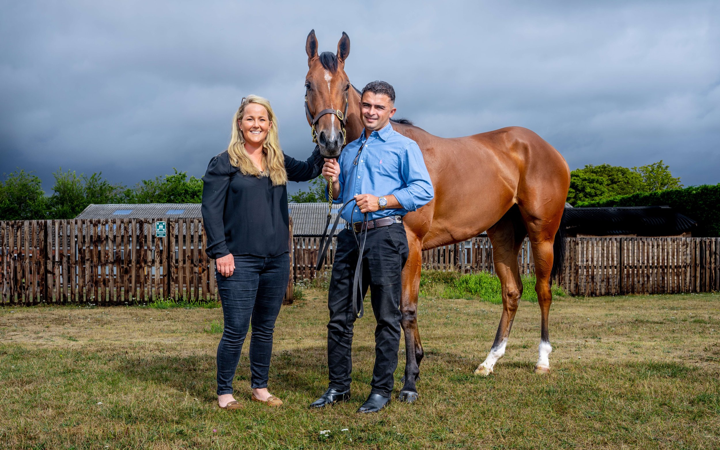 Different Draft Horse Breeds: Strength, Stamina, and Legacy Unveiled