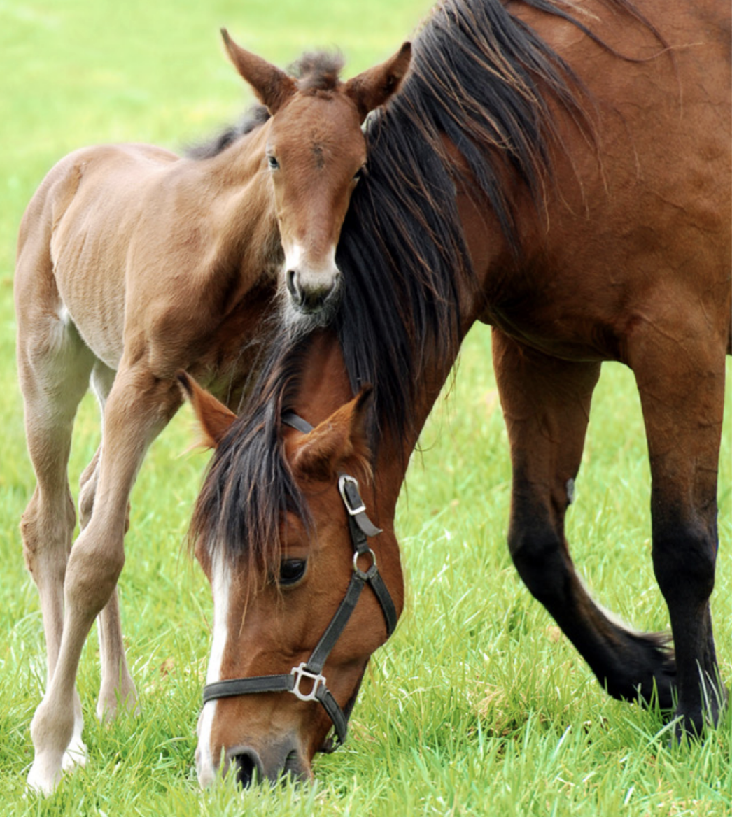 Screenshot 2026-02-08 at 20.32.58.png