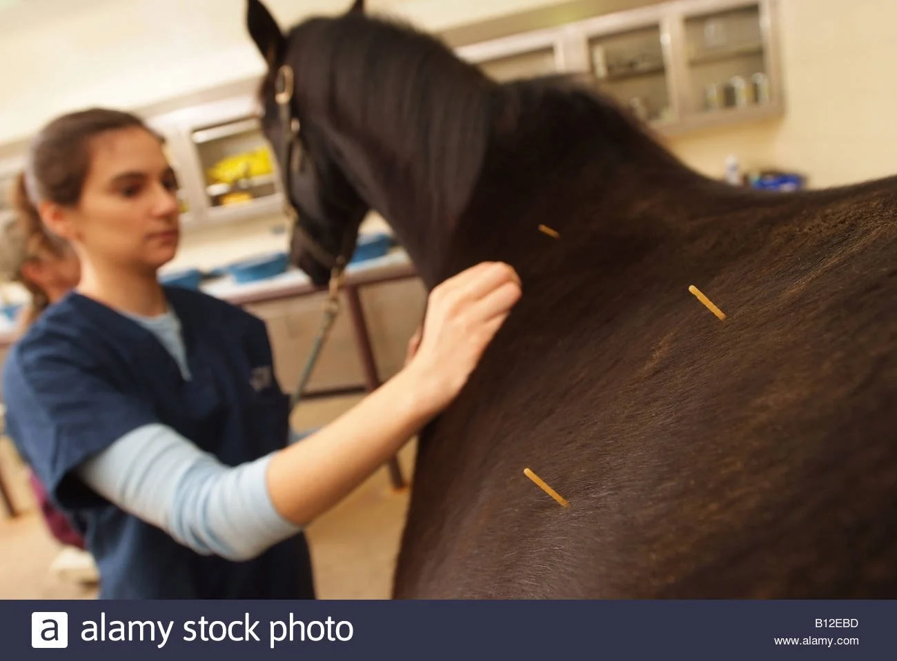 B12EBD.jpg