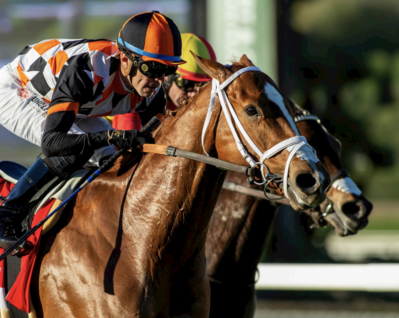 Screenshot 2026-02-08 at 22.41.49.png