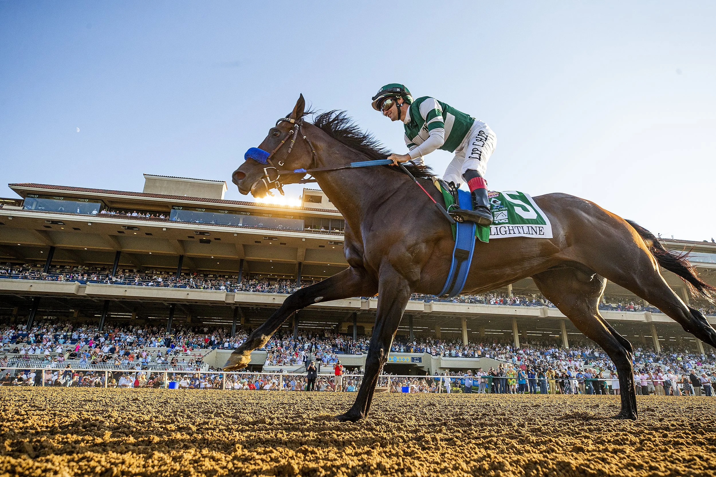 Accelerate — North American Article Index | Trainer Magazine