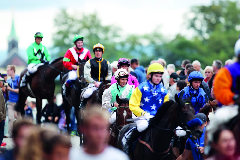 Does jockey gender makes a difference to racehorse performance