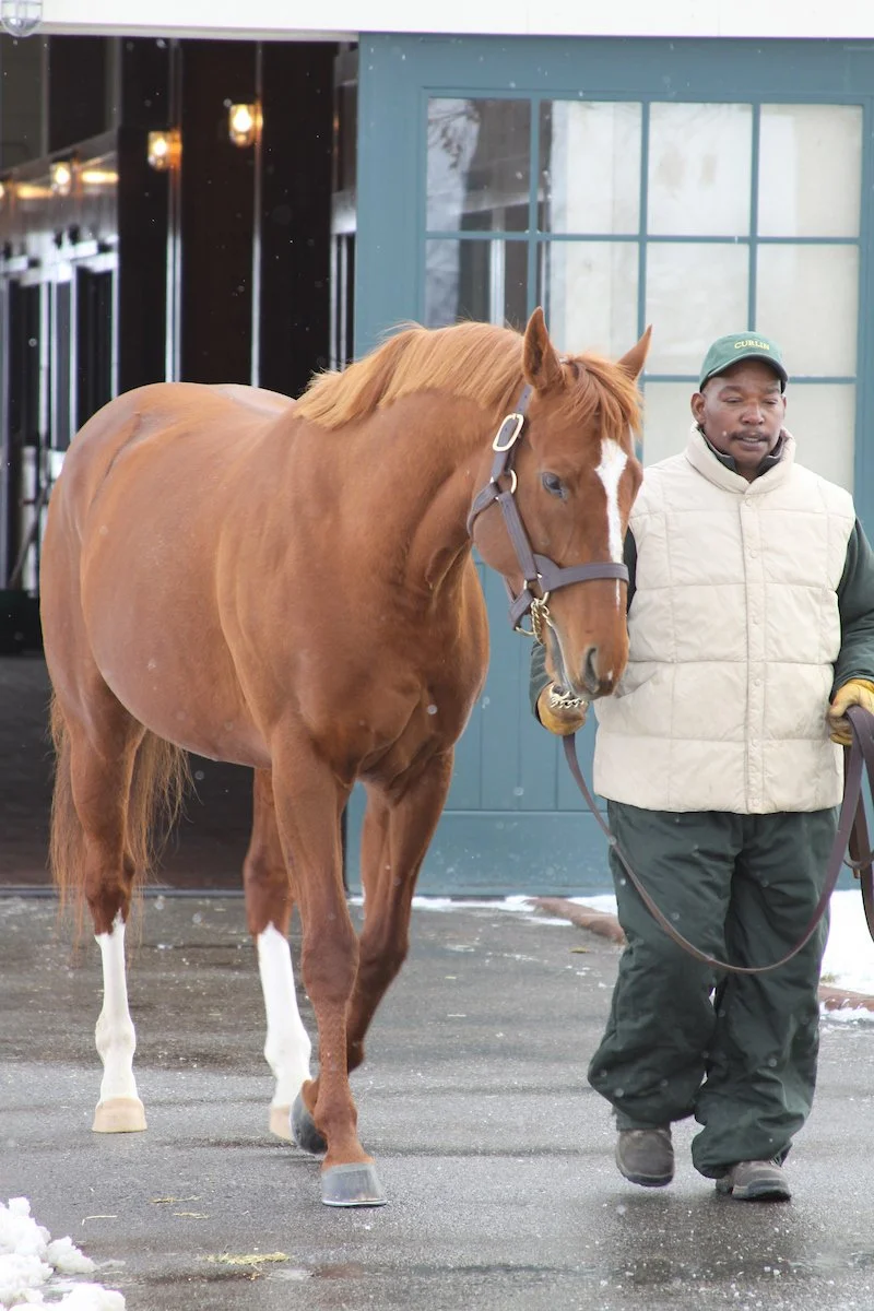 curlin02_ev.jpg