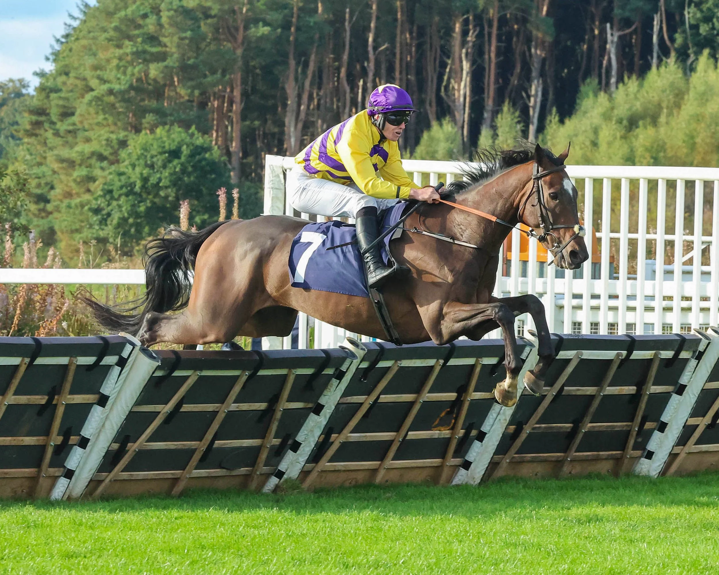 TopSpec Trainer of the Quarter - Noel Kelly | Trainer Magazine ...