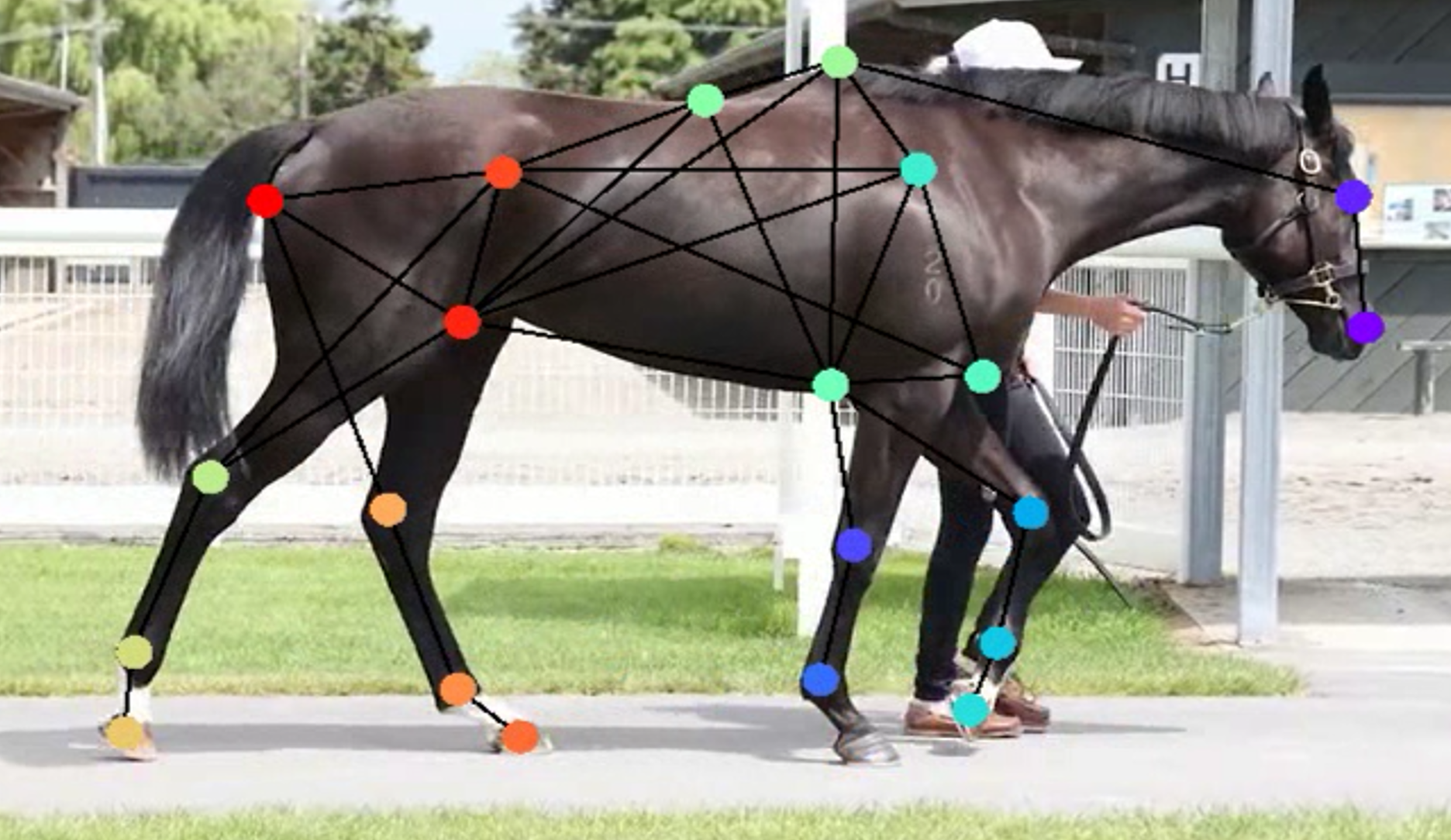Horses Rears Automation Artificial Intelligence tools - and their growing use in racing ...