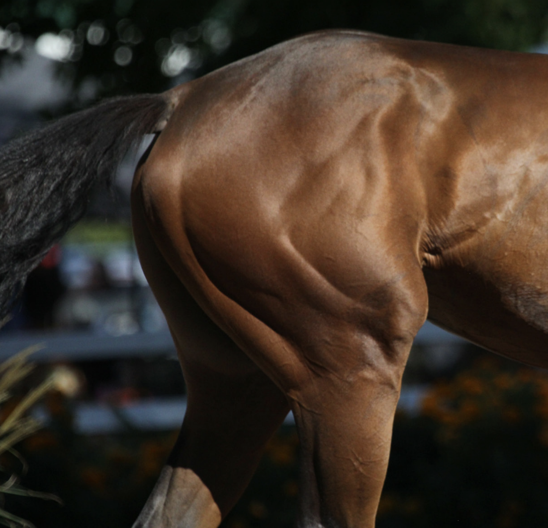 Screenshot 2026-02-07 at 18.14.26.png