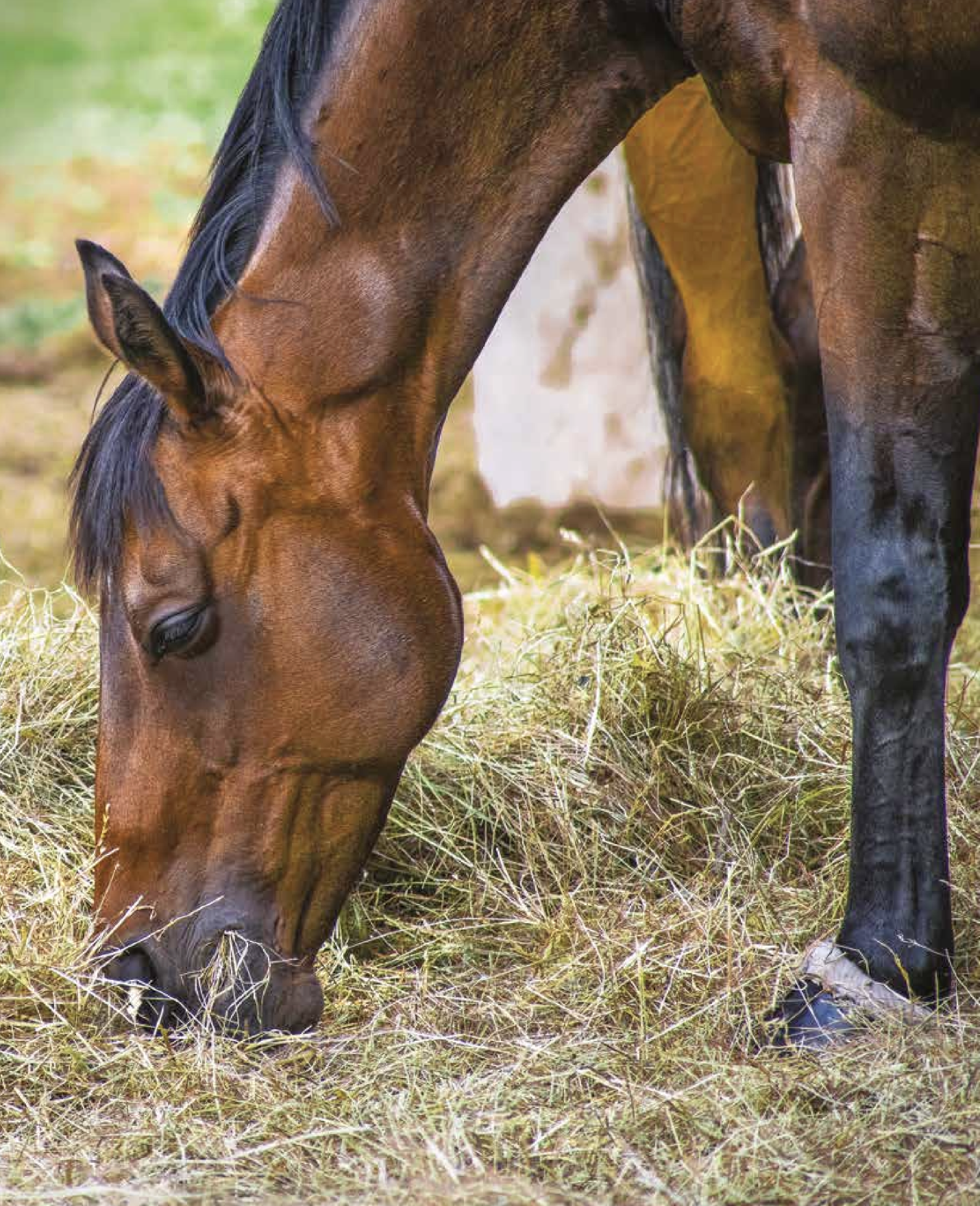 Screenshot 2026-04-19 at 18.43.39.png