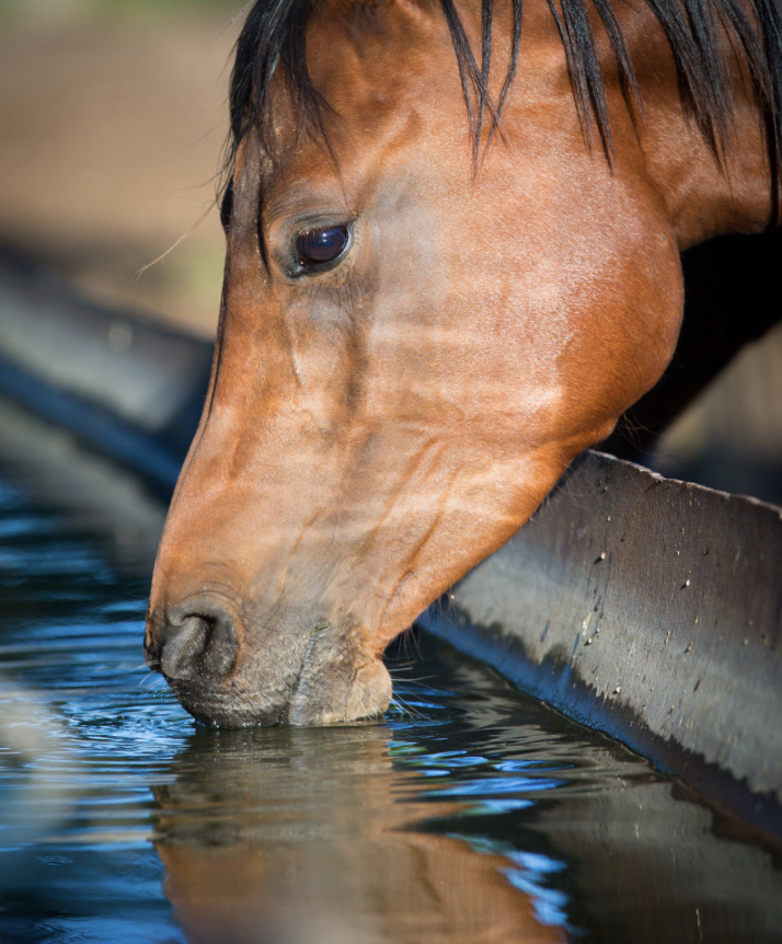 Screenshot 2026-04-19 at 18.07.36.png