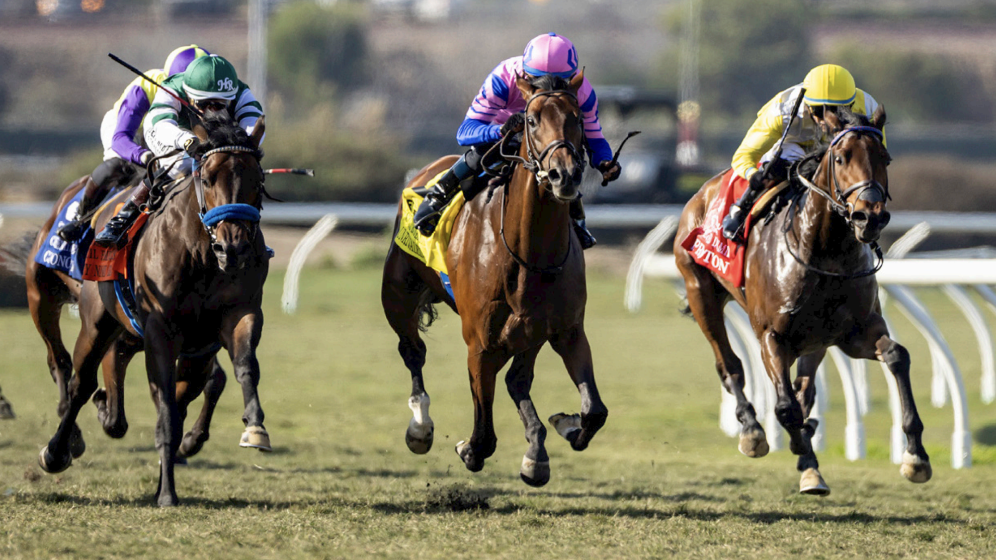 Screenshot 2026-02-08 at 22.59.25.png