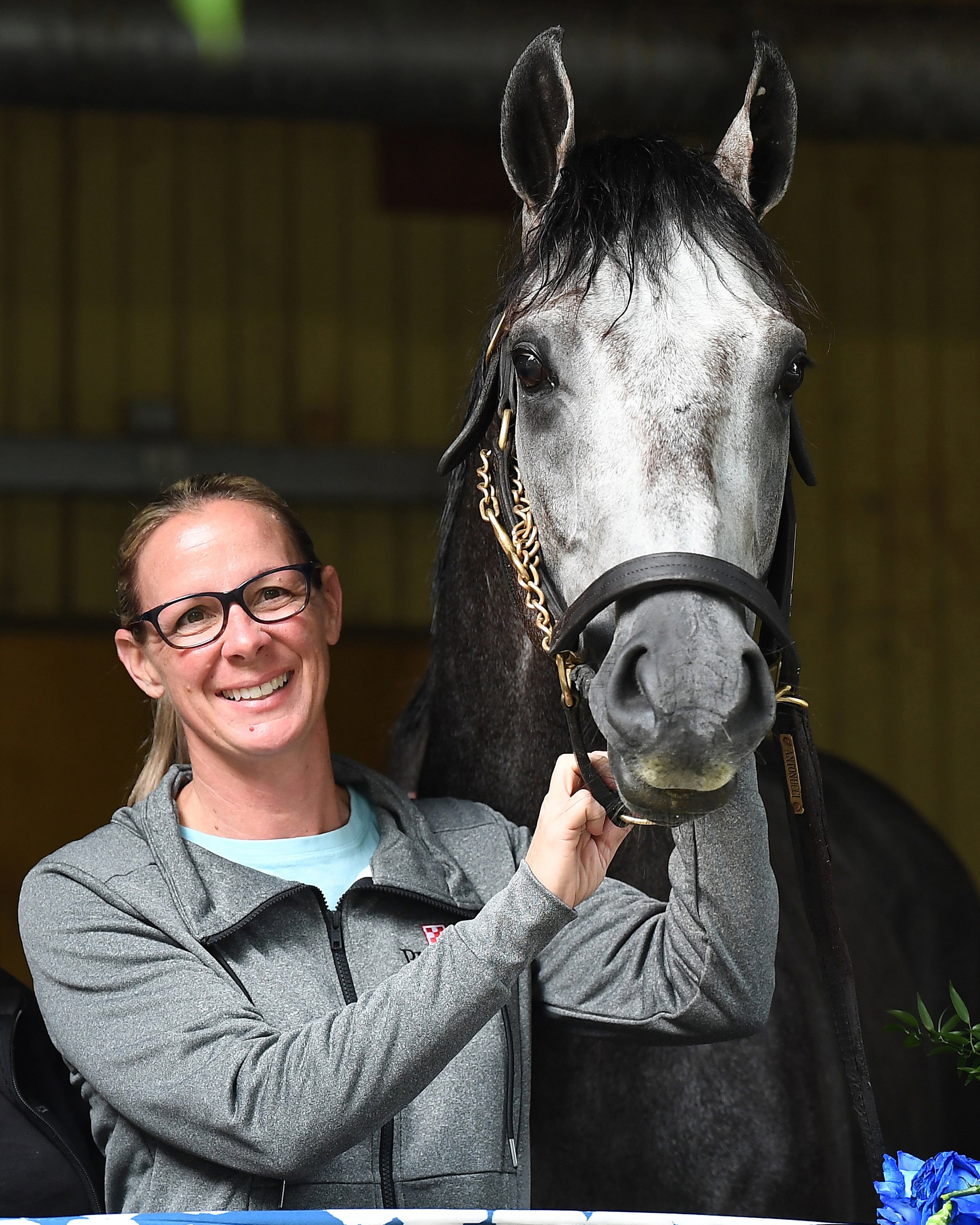 Management of equine wounds Part 2 - more serious wound repair - Darling  Downs Vets