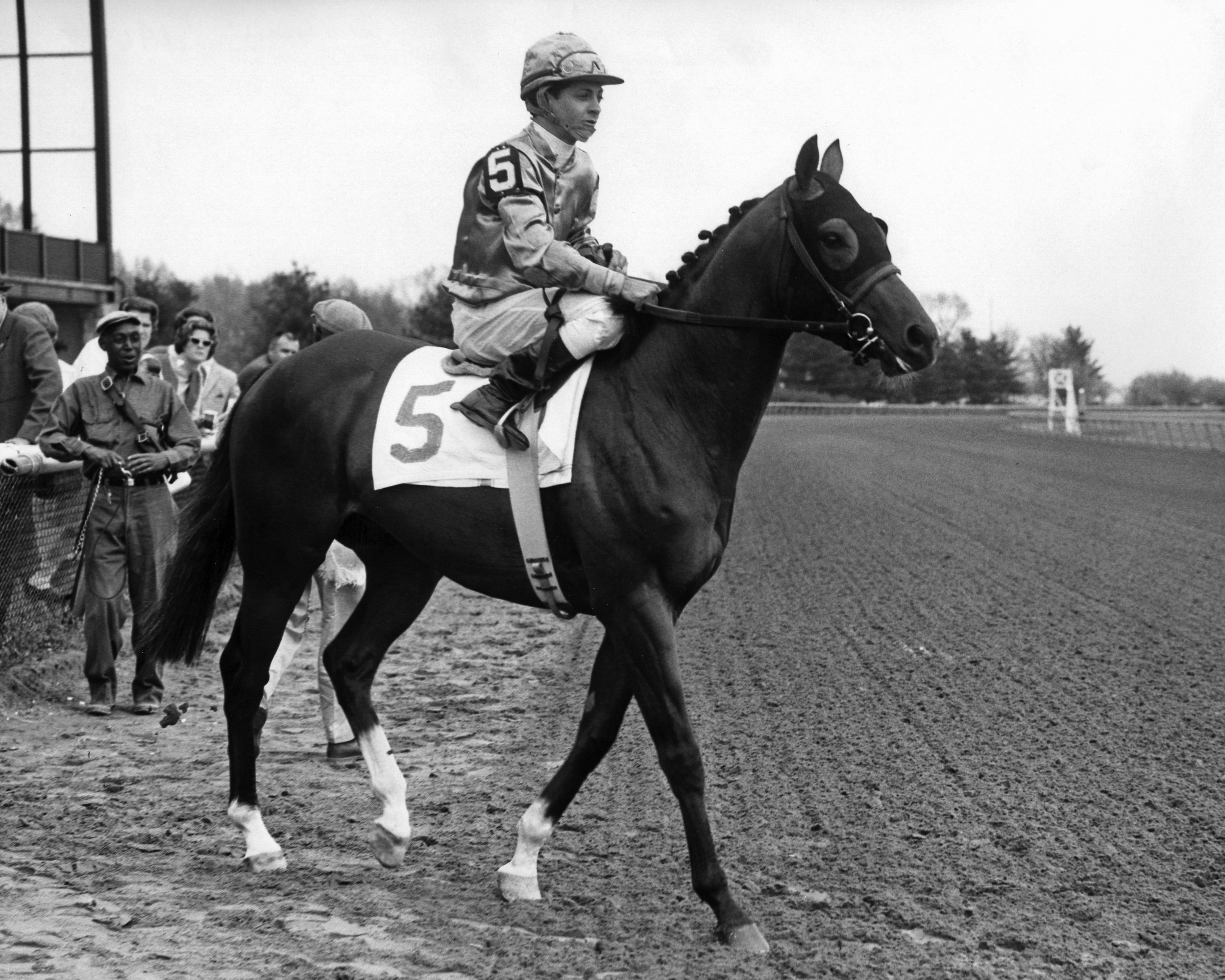 Northern Dancer — North American Article Index