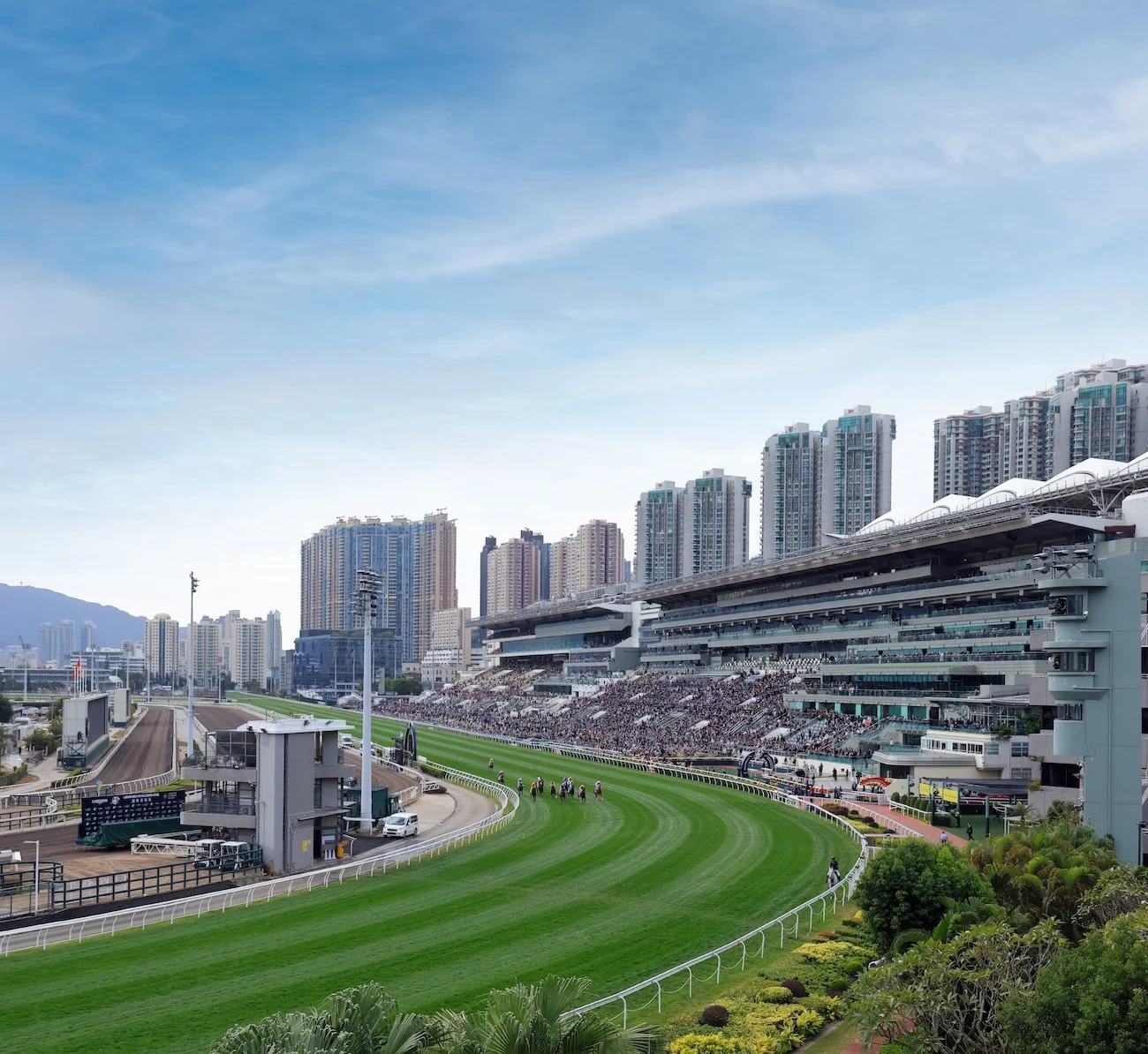 251214D513HONGKONG DB.jpg