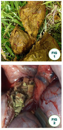 Screenshot 2025-10-02 at 10.00.44.png