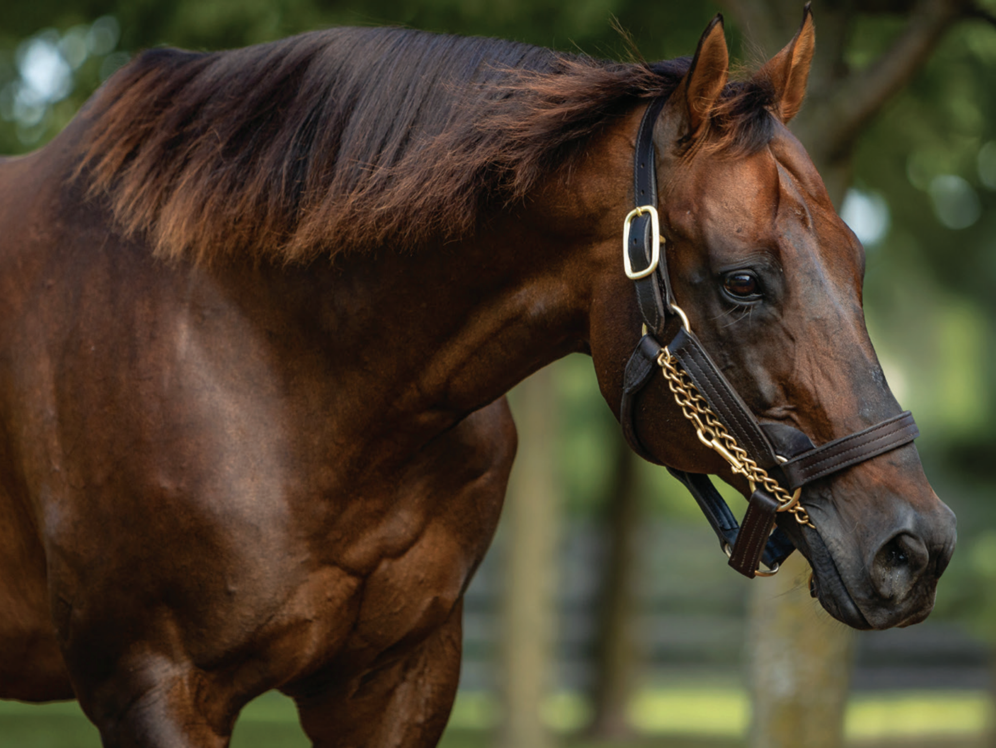 Screenshot 2026-02-08 at 23.10.01.png