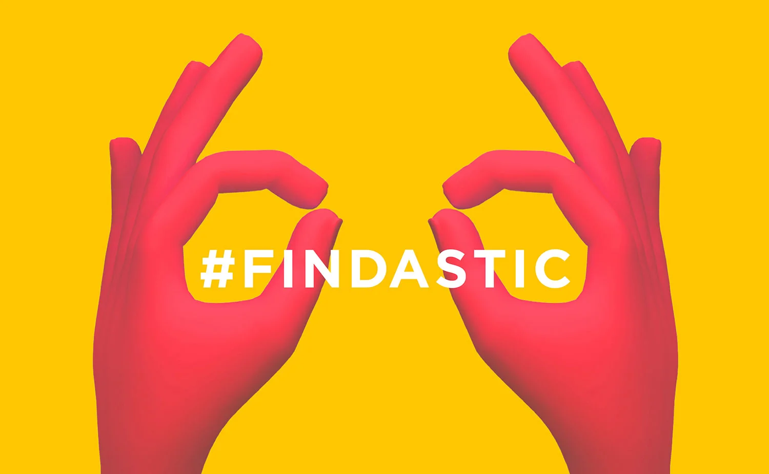 findastic2.jpg
