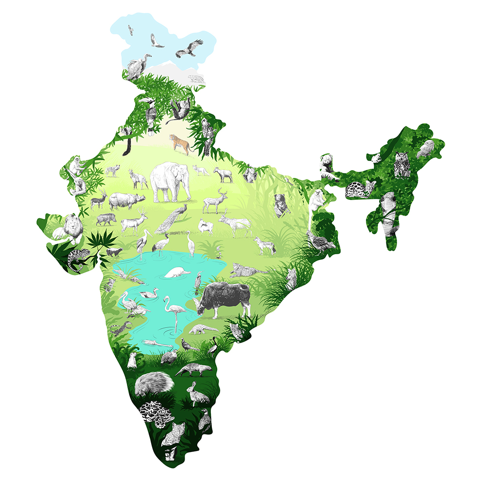"Indian Legislature recognizes the importance and beauty of its country's biodiversity with the Wildife Protection Act." ~ Rohan Joglekar