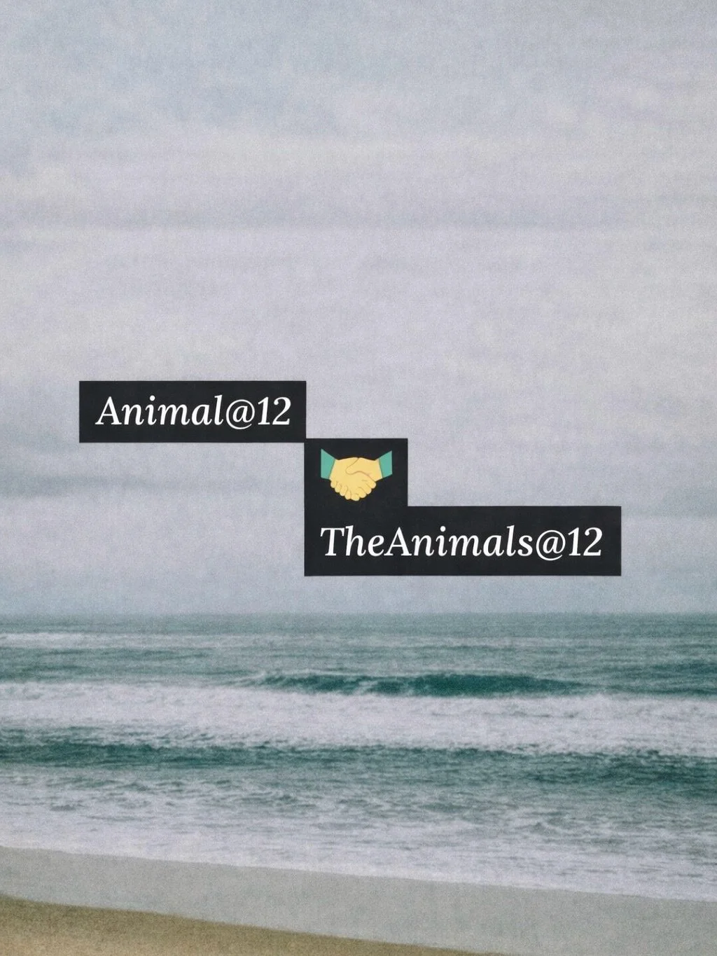 We are 12. We were once 12. 🫠