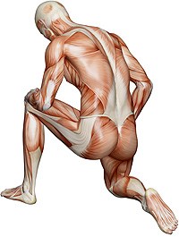 multi-frequency-training-X.jpg