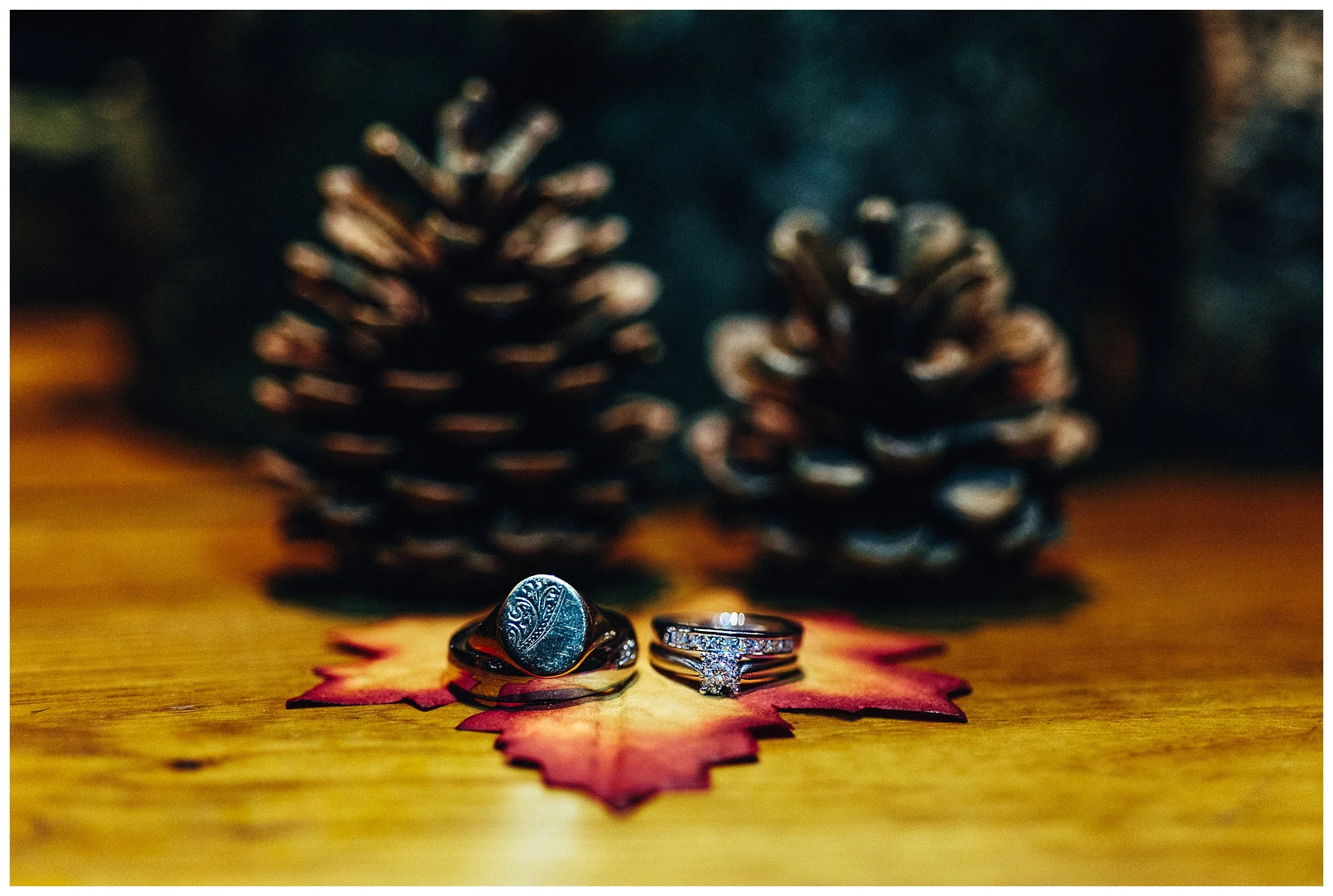 Emma&Paul-Elmore-Court-Winter-Wedding-Nikki-Cooper-Photography_0103.jpg