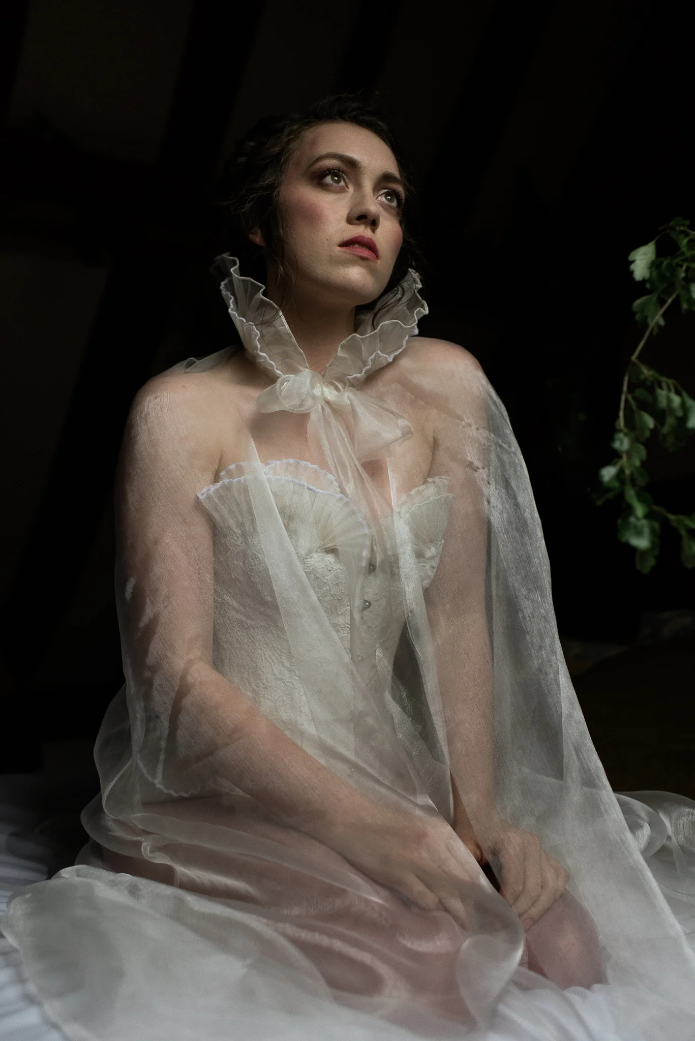 Dracula-Farm-Week-Nikki-Cooper-6.jpg