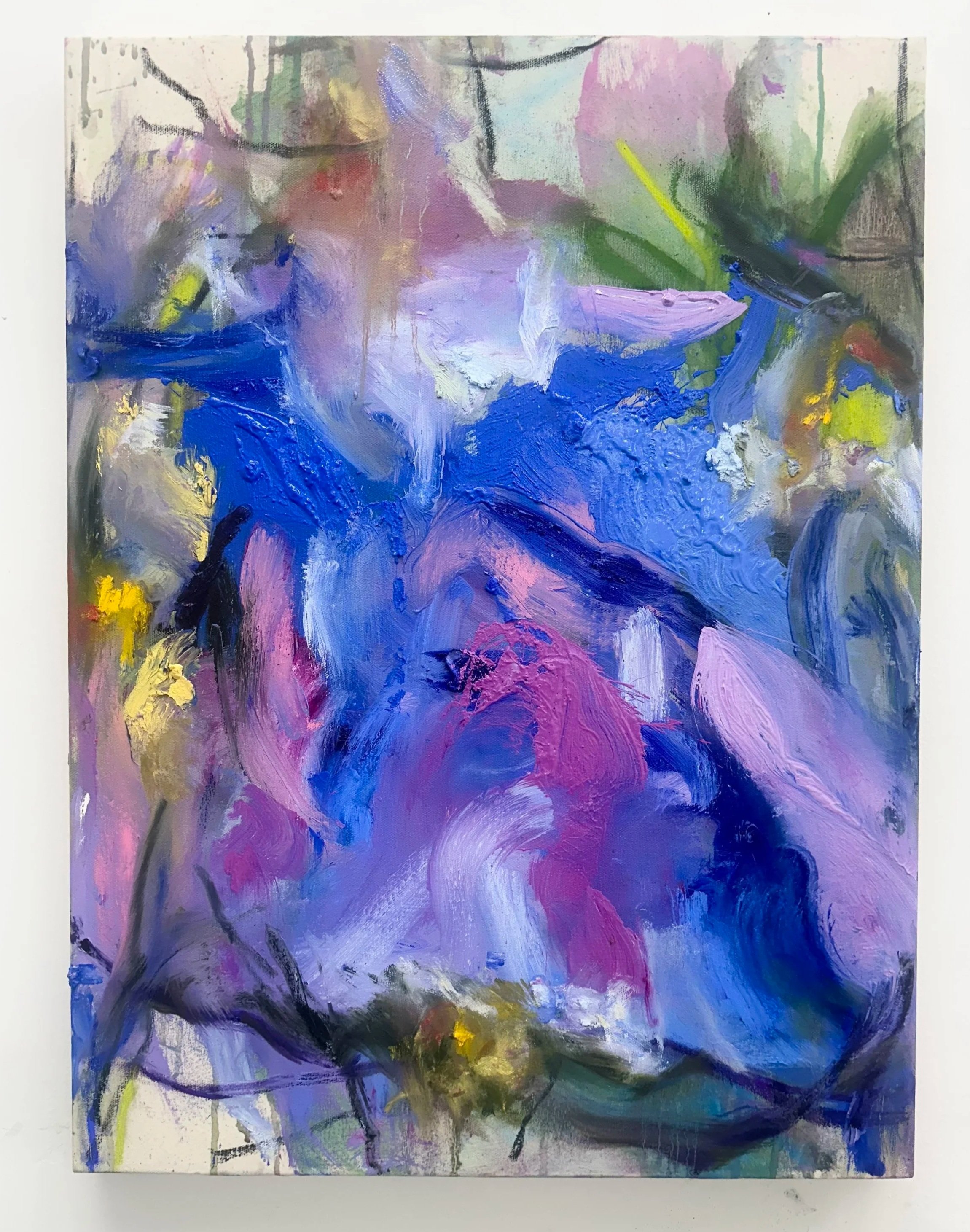 Morpho Spectral, 2025