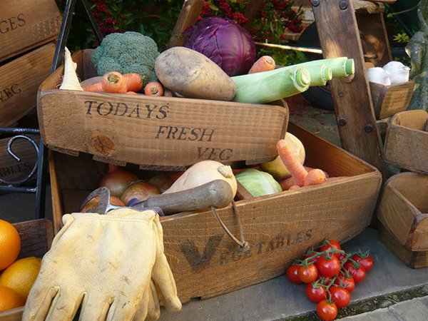 Picture of one of the basket here