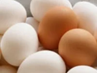 eggs.jpg