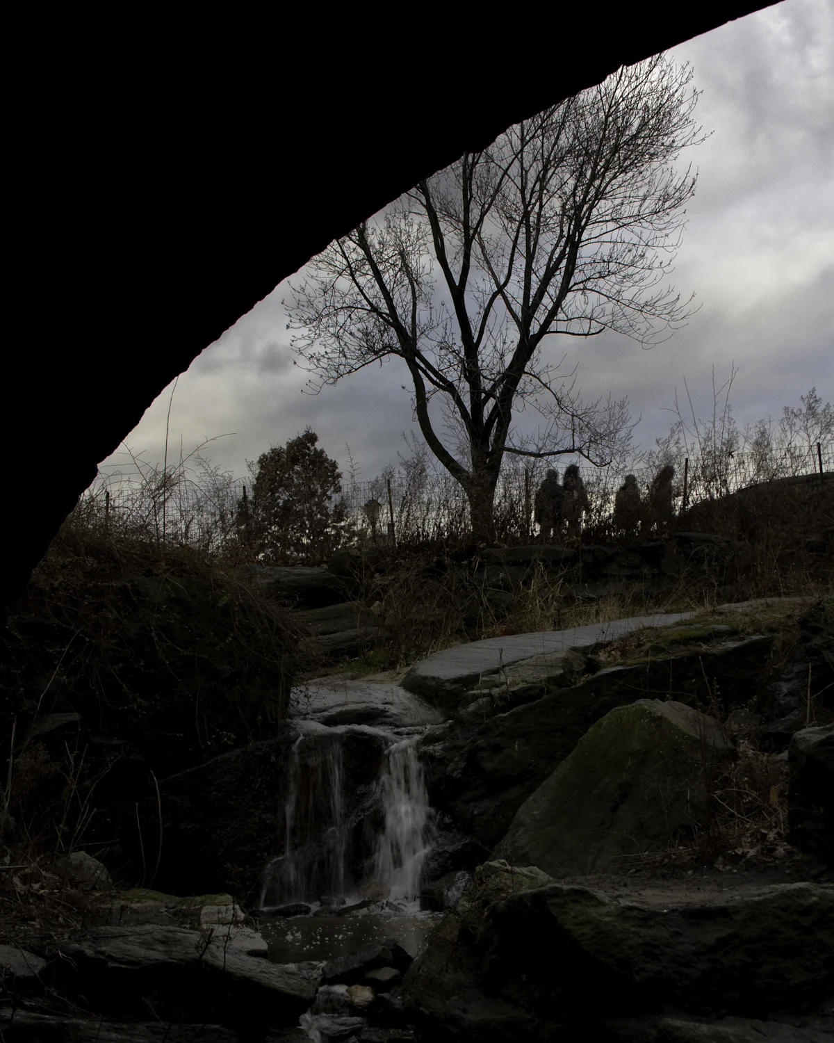 IMG_9133-Edit.jpg