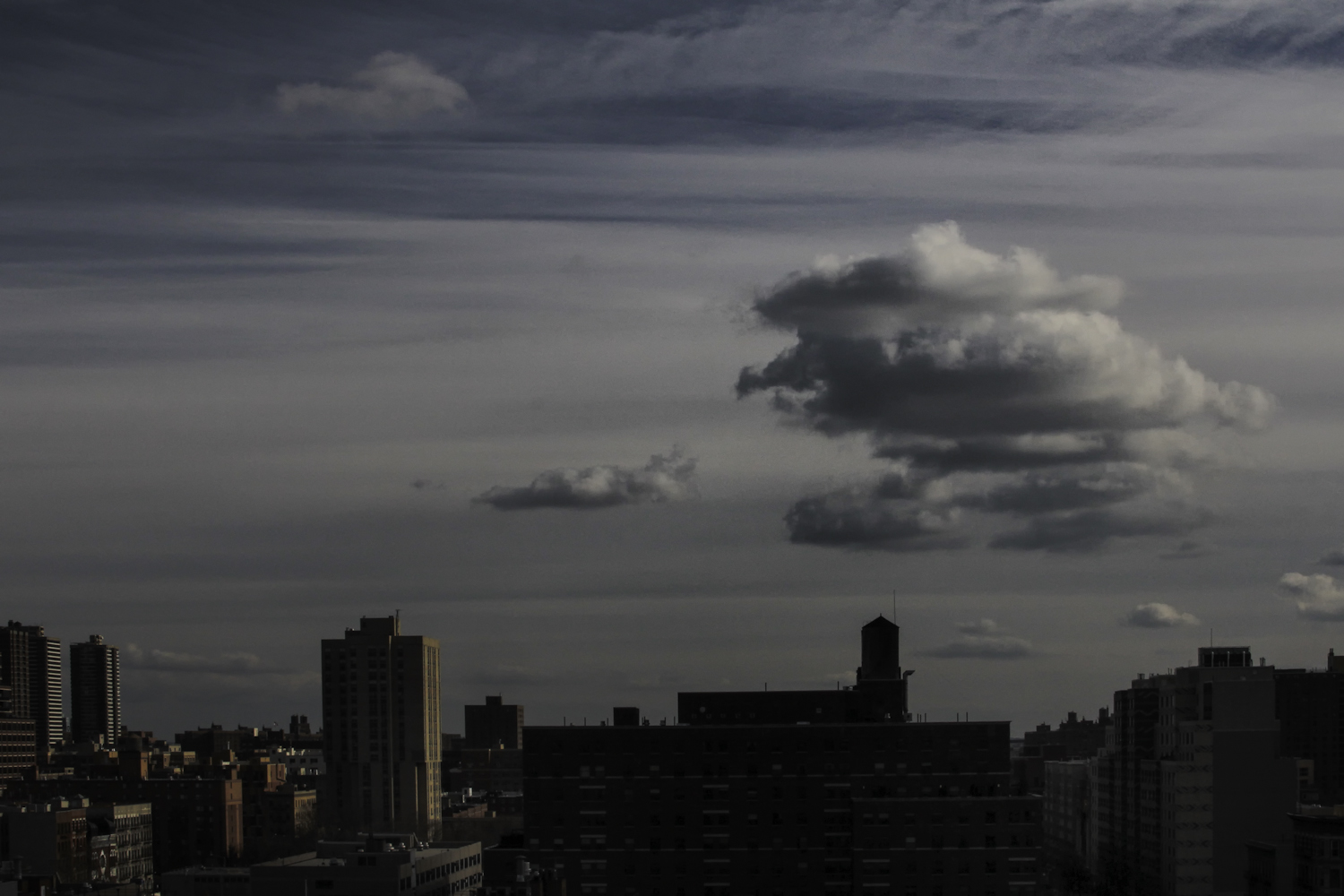 12.10.11 - sunday afternoon - december