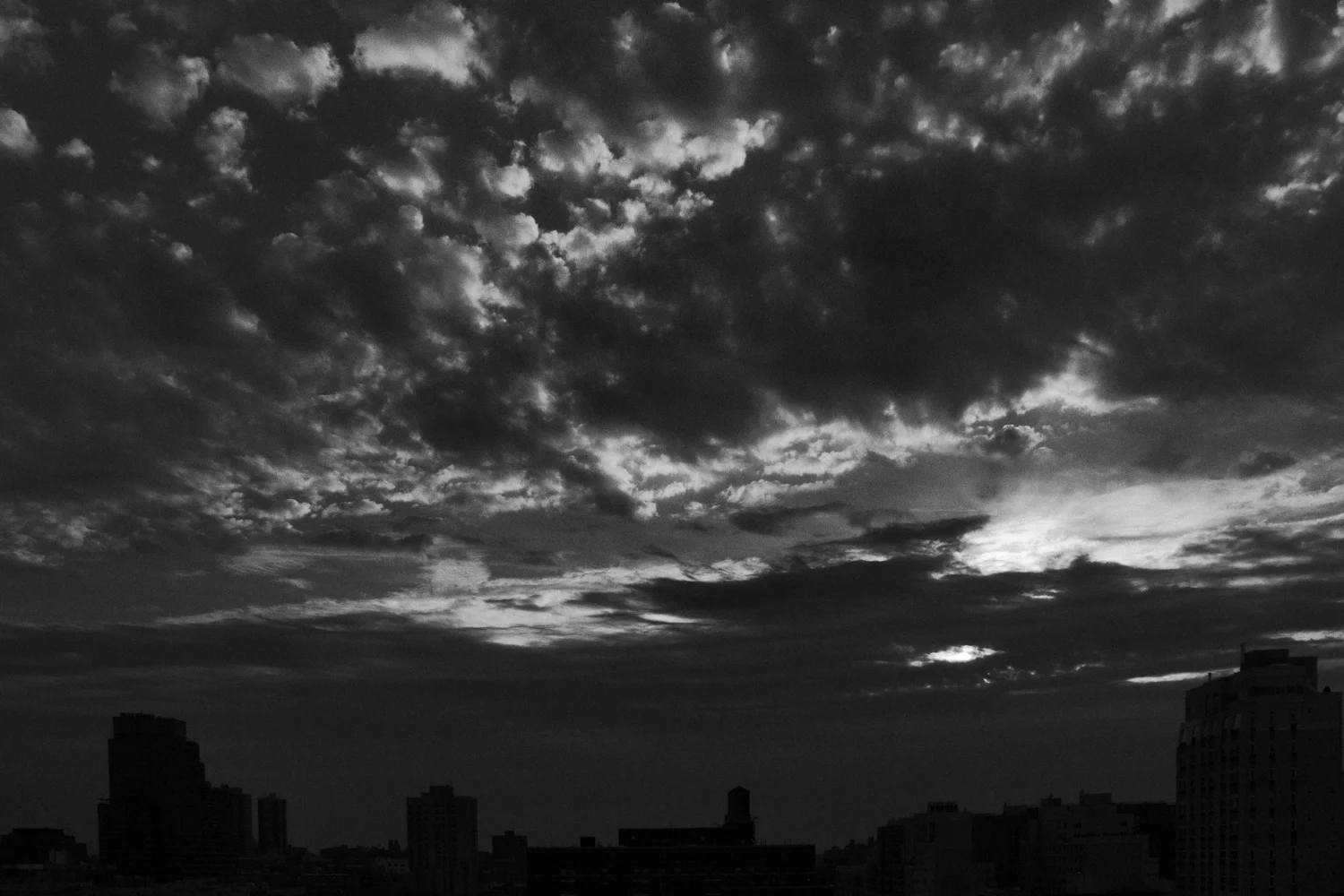 IMG_5466-Edit230.jpg