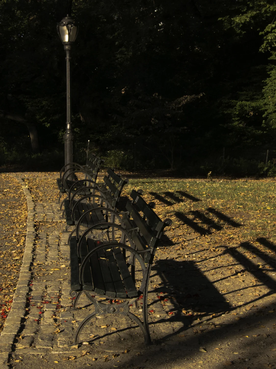 benches, cobbles, shadows and leaves
