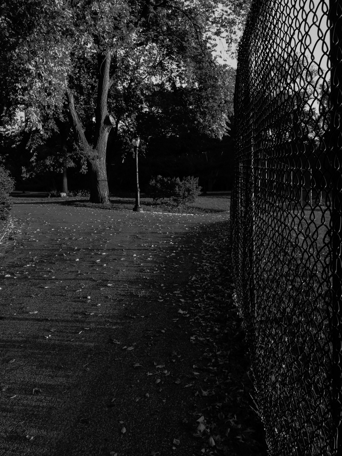 "vertical study" (in b&w)