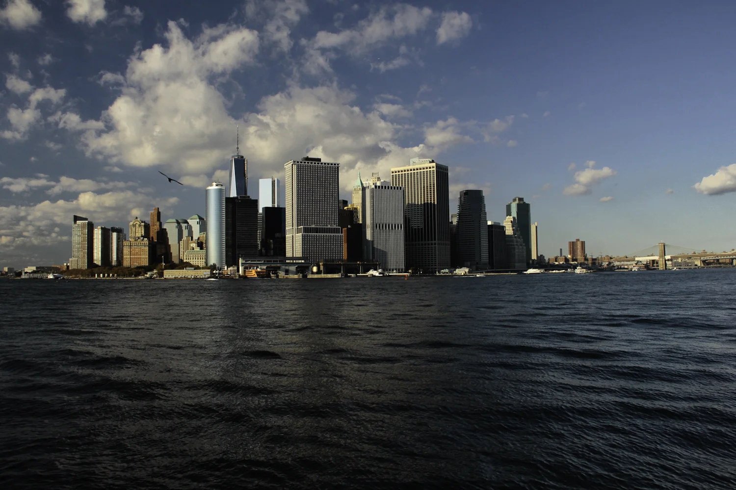 _MG_9719-Edit267.jpg