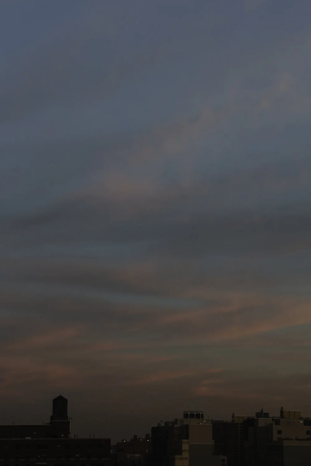 IMG_3353-Edit234.jpg