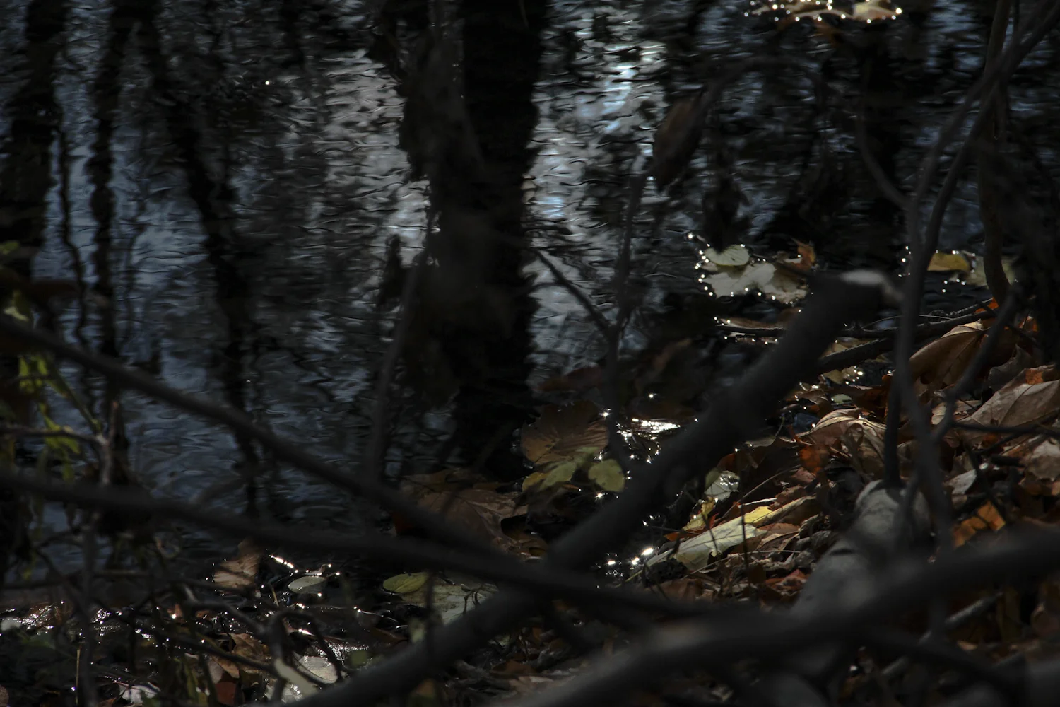 an afternoon down in the loch (2)