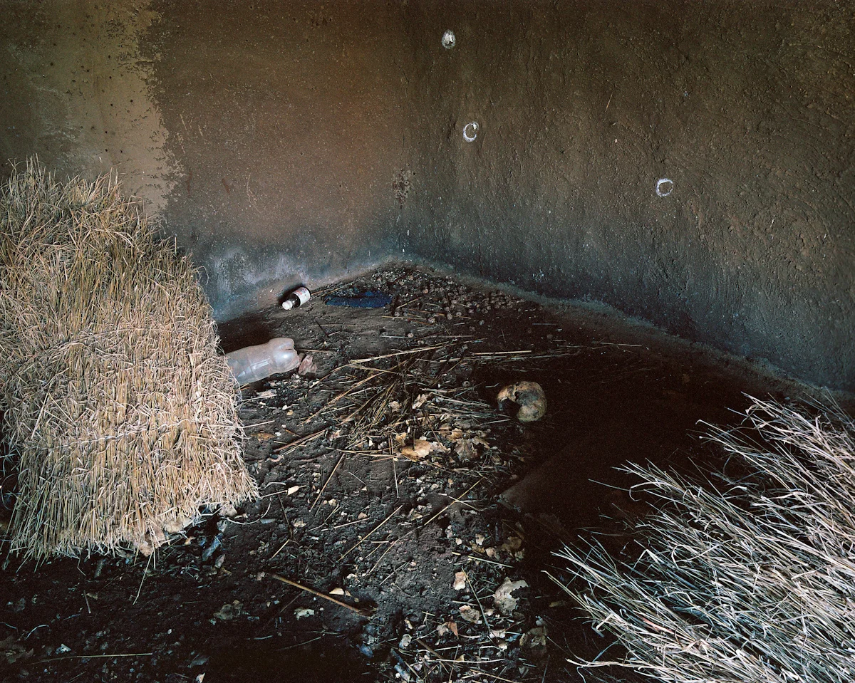 traces-021.jpg
