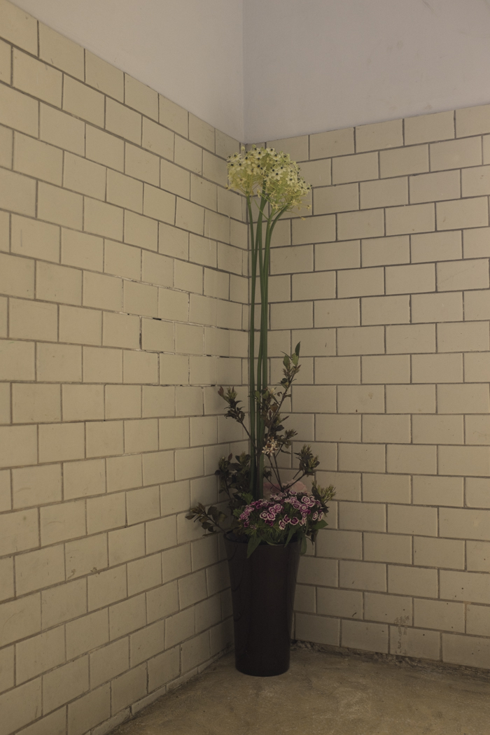 Lovely flowers in our hallway