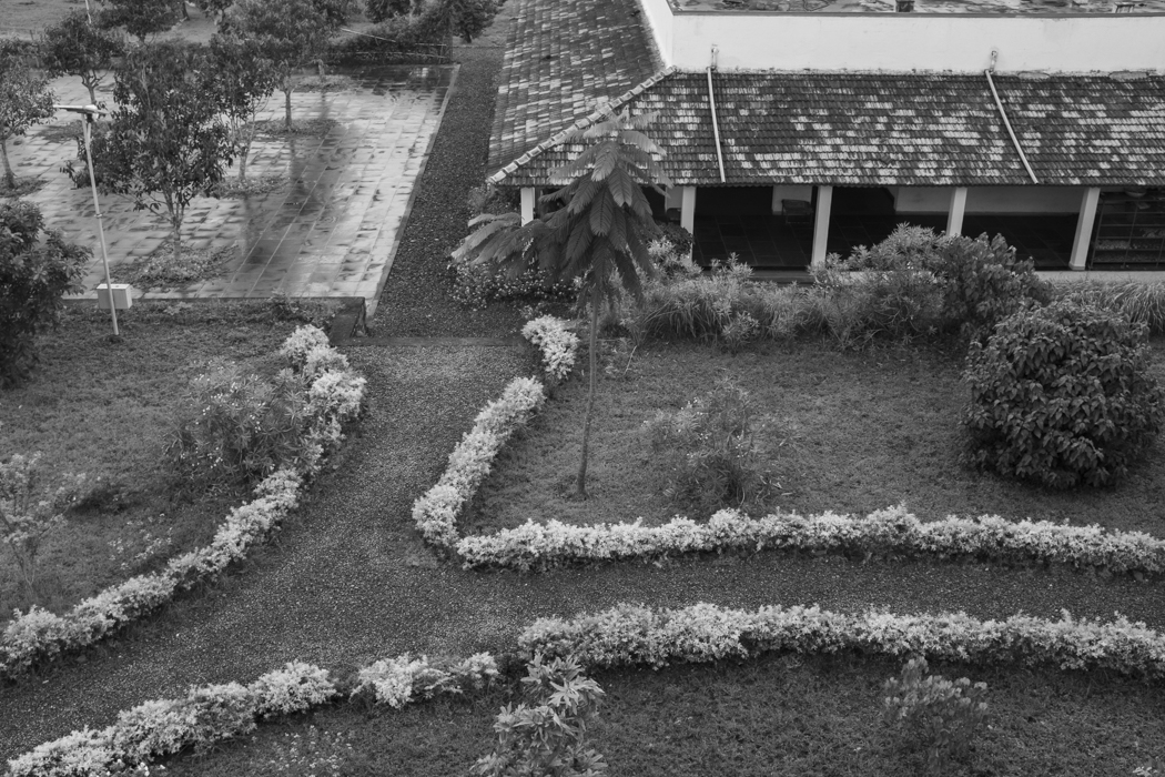 as is the rest of the garden.
