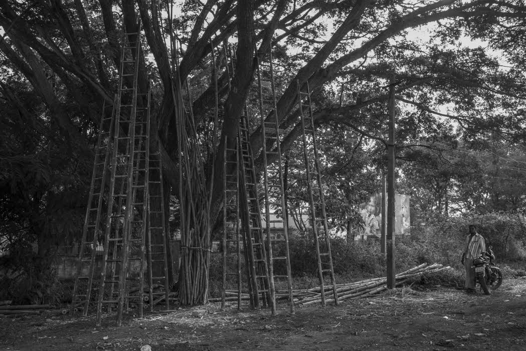 With its many ladders to heaven
